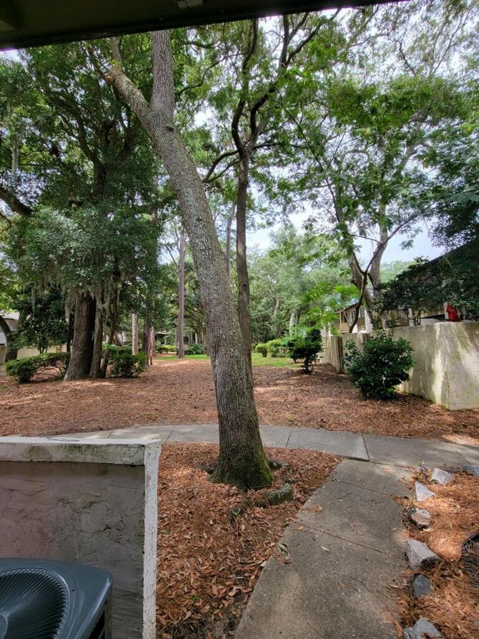 Hhi Homes- Newly Renovated Cozy Modern Pet-Friendly Villa-Ideal Location 希爾頓黑德島 外观 照片